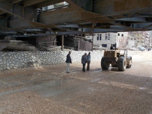 1393578_602048436555016_53557800_n