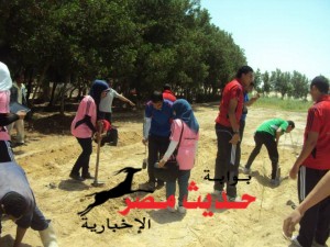 10157129_372602456211852_5522308472198298388_n