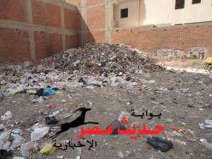 10268664_1528802187347390_3538954769876818737_n