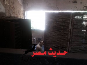 10358018_242404722617332_454821714_n