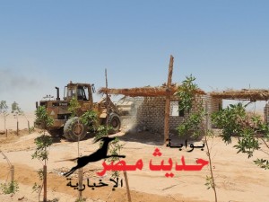 10427681_656585931086368_7796864735531002997_n