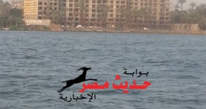 ابراج الواسطى