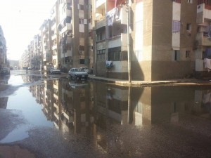 صورة من الاربعين